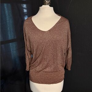 Shimmery Bronze V-Neck Knit Top